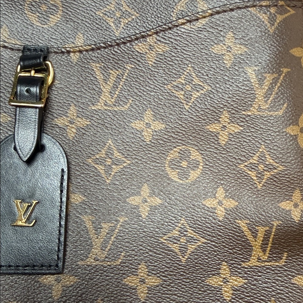 Louis Vuitton Odeon Monogram Brown and Black Shoulder Bag - Picture 14 of 16